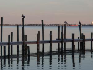 734392_590610260953310_1834150426_n