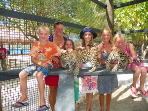 Wow!  Real live jaguar cubs!